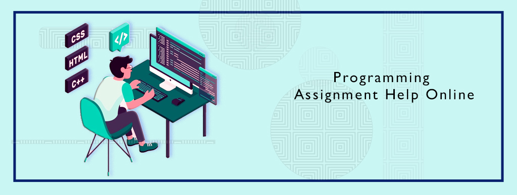 programming assignment help online
